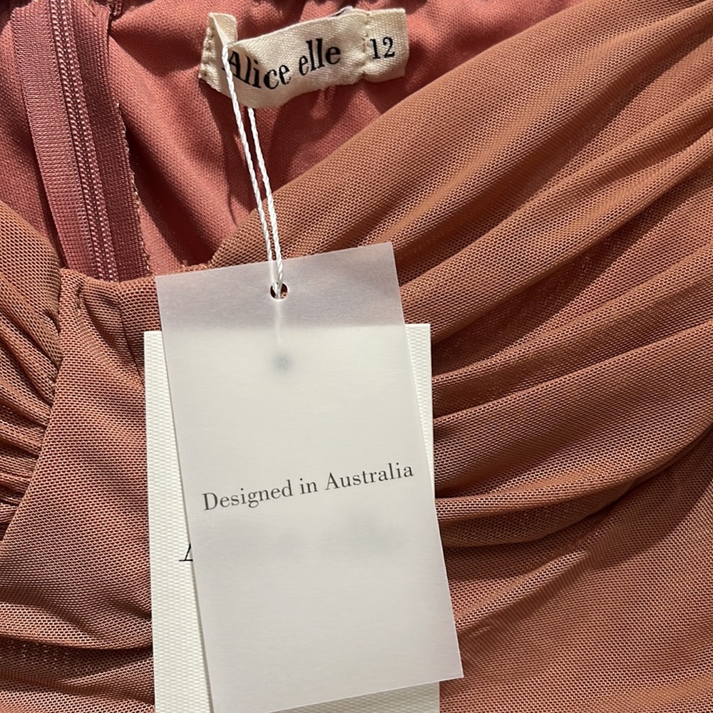 NWT Sundae Muse 'Kendall' Dress in‎ Blush - Picture 5 of 5